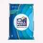 Buy Wall Care Putty Online at a low price in Hyderabad