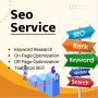 Best SEO Company in South Delhi — RANK Best SEO Company in South Delhi — RANK