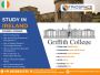 Study in Ireland Abroad Consultants in Hyderabad ,TrioSpace