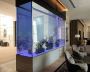 Crafting Uniqueness: Personalized Custom Fish Tanks