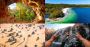 Top 10 Australia's Most Beautiful Natural Wonders for 2023