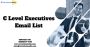 Updated C Level Executives Email List Providers In USA-UK