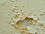 Need help to treat walls rising damp on your on your Home?
