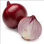 red onion wholesale dealers