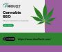 High-Quality SEO for Cannabis Industry Growth