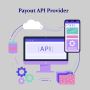 Payout API Provider