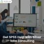 Get SPSS help with Silver Lake Consulting experts