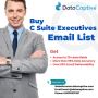 Buy Opt-in Email List of C Suite Executives