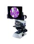 Enhance Your Laboratory Experience with the MX21i Microscope