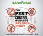 Best Pest Control Services in Delhi - Safaiwale