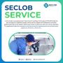 Seclob specializes in Digital Solutions | Services Designed 