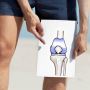 Best Knee Replacement Surgeon in Mohali - Shalby Hospitals
