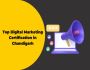 Get Top Digital Marketing Certification In Chandigarh.