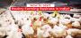 know about the Start Poultry Farming Business in India