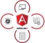 Hire AngularJs Developer India | Angular programmers