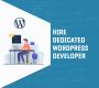 Hire WordPress Developer India | Hire WordPress Expert India