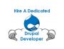 Hire Drupal Web Developer Florida - Silicon valley