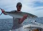 Shark Fishing Clearwater