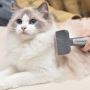 Buy Best Cat &Pet Accessories Online - Smart Cat Shop