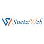 Best Web Development Company in Ahmedabad | Snetzweb