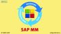  Best SAP MM Training in Bangalore | Softgen Infotech