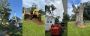 Professional Tree Services in Ocean Springs, MS. Professional Tree Services in Ocean Springs, MS.