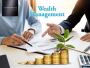 Grow Your Wealth with Premium Wealth Management Services