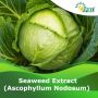 Seaweed extract | Peptech Bioscience Ltd | Manufacturer And 