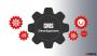 CMS services in Texas | Zenesys