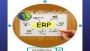 ERP Software Solution Services