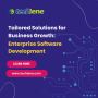 Tailored Solutions for Business Growth: Enterprise Software 