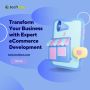  Transform Your Business with Expert eCommerce Development