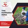 Professional Tree Fertilization in Dallas | Texas Tree Trans
