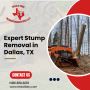 Expert Stump Removal in Dallas, TX | Tree Services