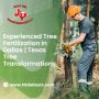 Experienced Tree Fertilization in Dallas | Texas Tree 