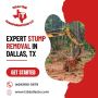 Expert Stump Removal in Dallas, TX - Efficient & Professiona