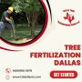  Expert Tree Fertilization in Dallas
