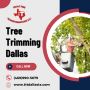 Expert Tree Trimming Dallas - Professional Tree Services