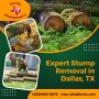 Efficient and Reliable Expert Stump Removal Services in Dall