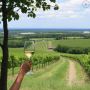 Explore Long Island Wine Country in Style Explore Long Island Wine Country in Style
