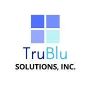 Asbestos Removal Company in Peyton CO - TruBlu Solutions Inc