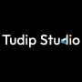 Discover endless entertainment with Tudip Studio