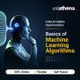 Discover the Future of Technology with UniAthena's Online Ma
