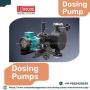 Protexion Dosing Pumps: Accurate Dosing Solutions 