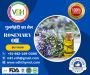 Pure Rosemary Oil Manufacturers in India