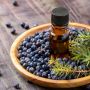 The Power of Juniper Berry Oil Manufacturers in India
