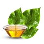 Buy Premium Betel Leaf Oil