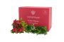 For Unpotted Artificial Plants Visit Vistafolia