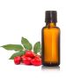 Rosehip Oil Manufacturer Italy