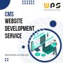 Professional Dynamic CMS Web Development Service - Web Panel